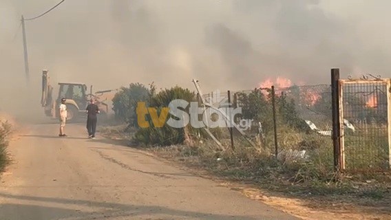 Φωτιά στην Ξηρονομή Βοιωτίας. Απόφαση για εκκένωση του χωριού. (video)