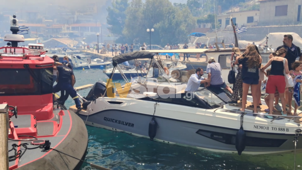 Κόλαση φωτιάς στην πυρκαγιά του Αγίου Βασιλείου – Το καλαμάκι παραδίδεται στις φλόγες (video)