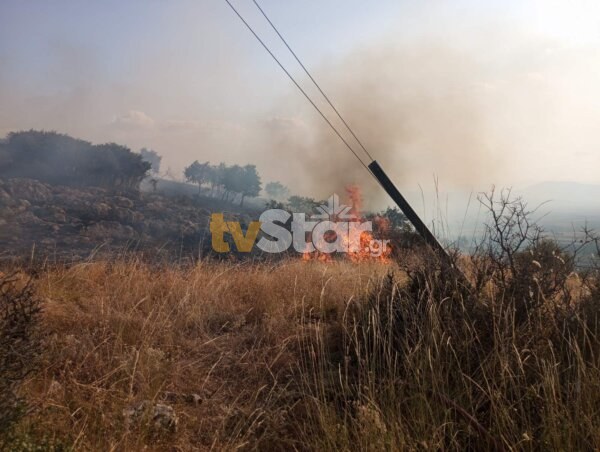 Φθιώτιδα: Συναγερμός για φωτιά στο Νέο Μοναστήρι Δομοκού