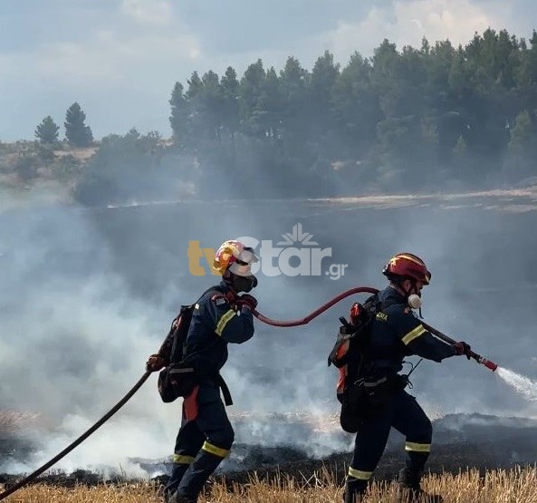 Υπό έλεγχο η φωτιά στο Νεοχωράκι Θήβας δίπλα από το δάσος του Μσχοποδίου.(photo)