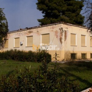 ΤΑ ΣΗΜΑΝΤΙΚΟΤΕΡΑ ΝΕΑ