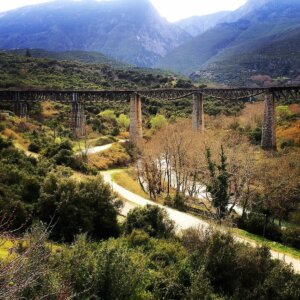 ΤΑ ΣΗΜΑΝΤΙΚΟΤΕΡΑ ΝΕΑ