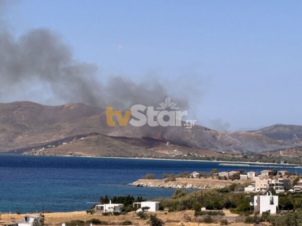 Φωτιά στην Κάρυστο: Μηνύματα από το 112, επιχειρούν 13 εναέρια