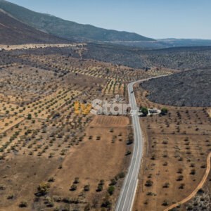 ΤΑ ΣΗΜΑΝΤΙΚΟΤΕΡΑ ΝΕΑ