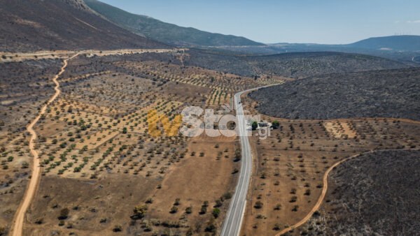Βοιωτία: Στάχτη 31.000 στρέμματα δασικής έκτασης. Ξεκινούν αντιπλημμυρικά και αντιδιαβρωτικά έργα.(video)