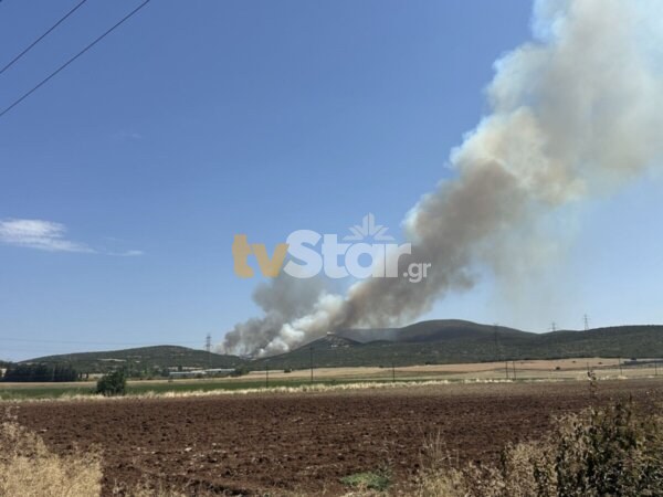 Φωτιά στη Θήβα. Οι άνεμοι «σπρώχνουν» τις φλόγες στο δάσος Μοσχοποδίου.(video-photo)