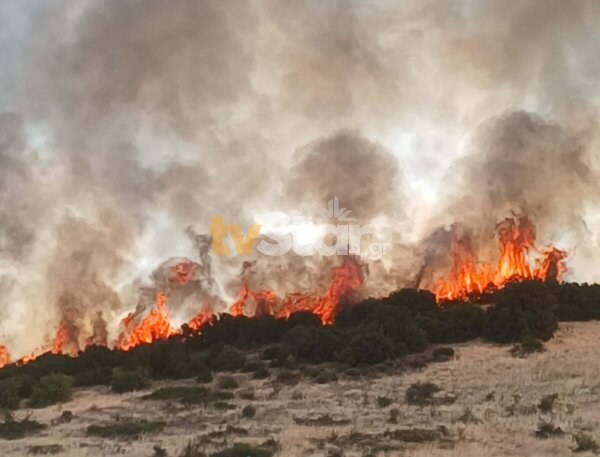 Σε ύφεση οι πυρκαγιές σε Βοιωτία και Εύβοια