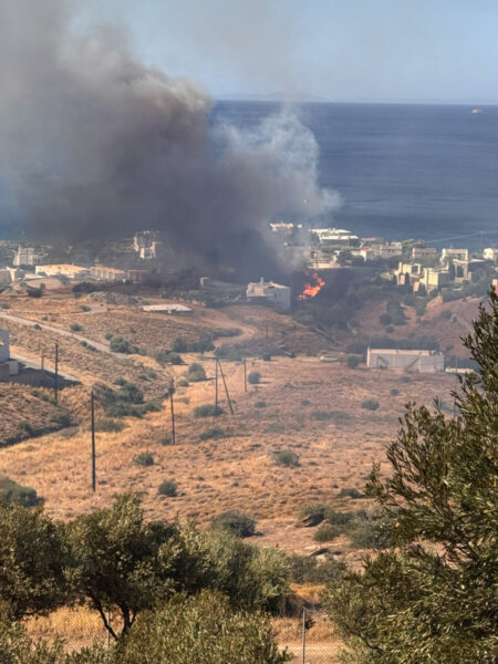 Κάρυστος: Πρόλαβαν τη φωτιά πριν πάρει διαστάσεις