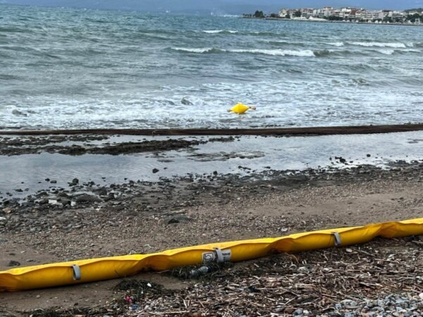 Τα δίχτυα των μεδουσών βγήκαν στην Στεριά…