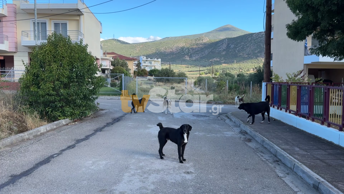 ΤΑ ΣΗΜΑΝΤΙΚΟΤΕΡΑ ΝΕΑ