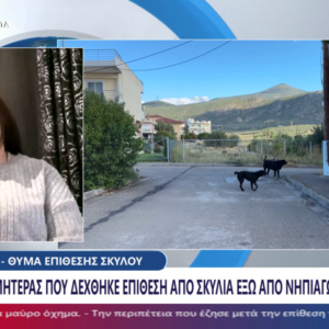 ΤΑ ΣΗΜΑΝΤΙΚΟΤΕΡΑ ΝΕΑ