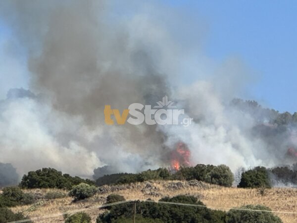 Φωτιά στη Λαμία, ξεκίνησε πάνω από το ΚΕΥΠ, απείλησε τον Προφήτη Ηλία, την εγκλώβισαν σε χαράδρα…(video και φωτο)