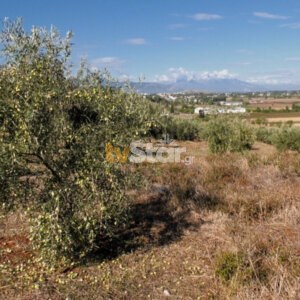 ΤΑ ΣΗΜΑΝΤΙΚΟΤΕΡΑ ΝΕΑ