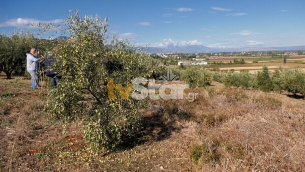 Αλίαρτος: Στο χώμα το 50% της παραγωγής από τη σφοδρή χαλαζόπτωση.(video)
