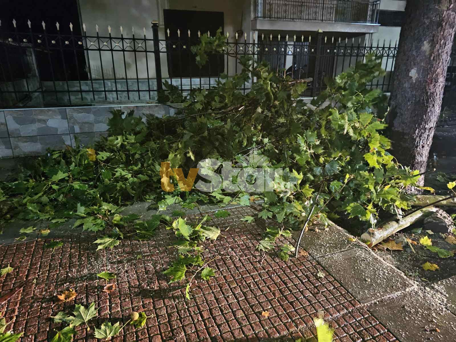 ΤΑ ΣΗΜΑΝΤΙΚΟΤΕΡΑ ΝΕΑ
