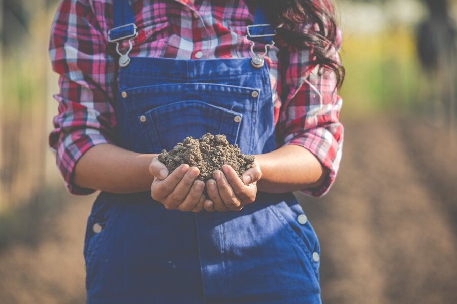 Women farmers are researching the soil.