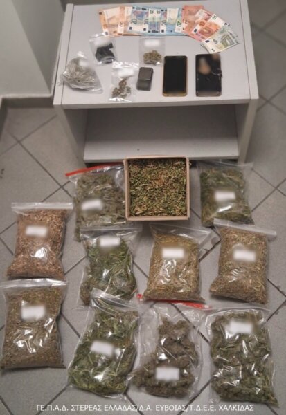 Εντοπίστηκε υδροπονική καλλιέργεια κάνναβης σε σπίτι. (φωτο video)