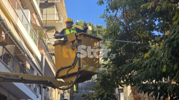 Λαμία: Επιχείρηση κλαδέματος και κυκλοφοριακές ρυθμίσεις στην οδό Όθωνος. (φωτο video)