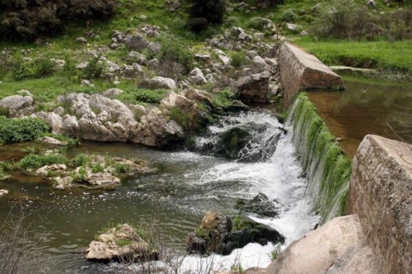 Ασωπός: Κανένα δείγμα βακτηρίου χολέρας στις αναλύσεις του ΕΟΔΥ (video).