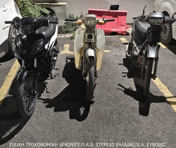 Εύβοια: Ειδική τροχονονομική δράση – 95 παραβασεις του νέου Κ.Ο.Κ